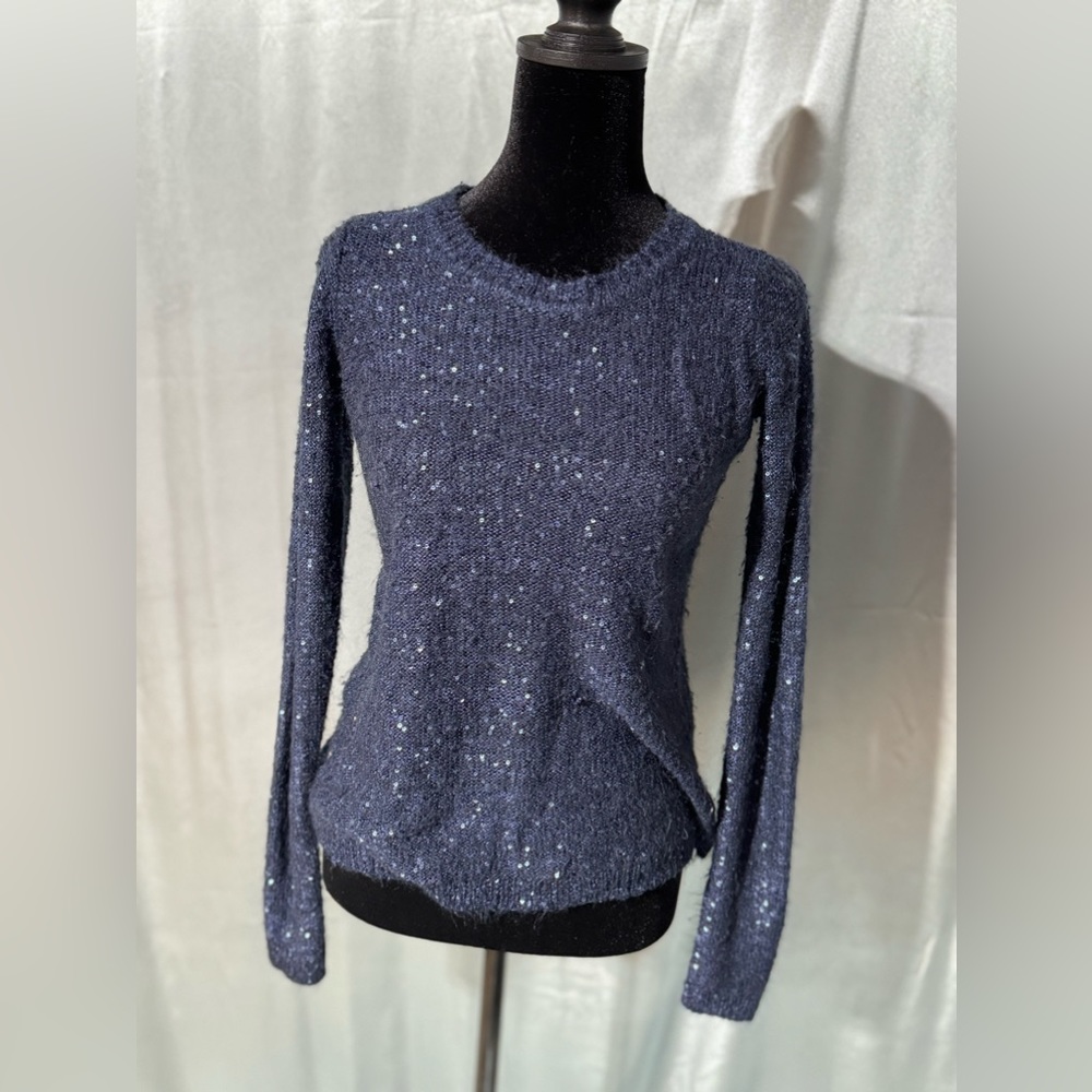 The Limited sweater